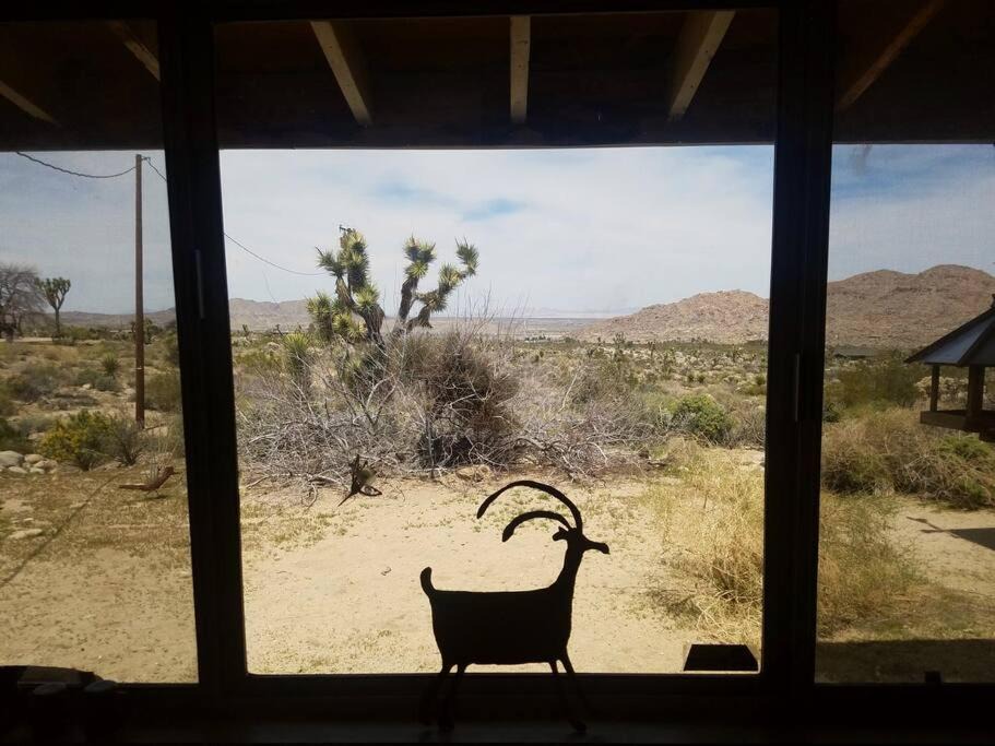 Photo of Others in Joshua Tree Highlands