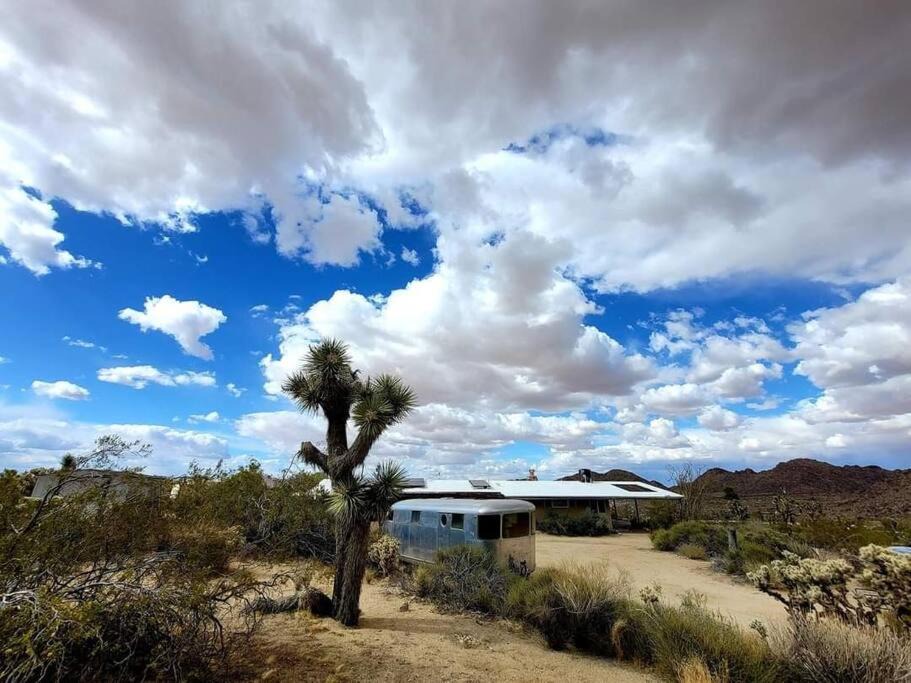 Photo of Others in Joshua Tree Highlands