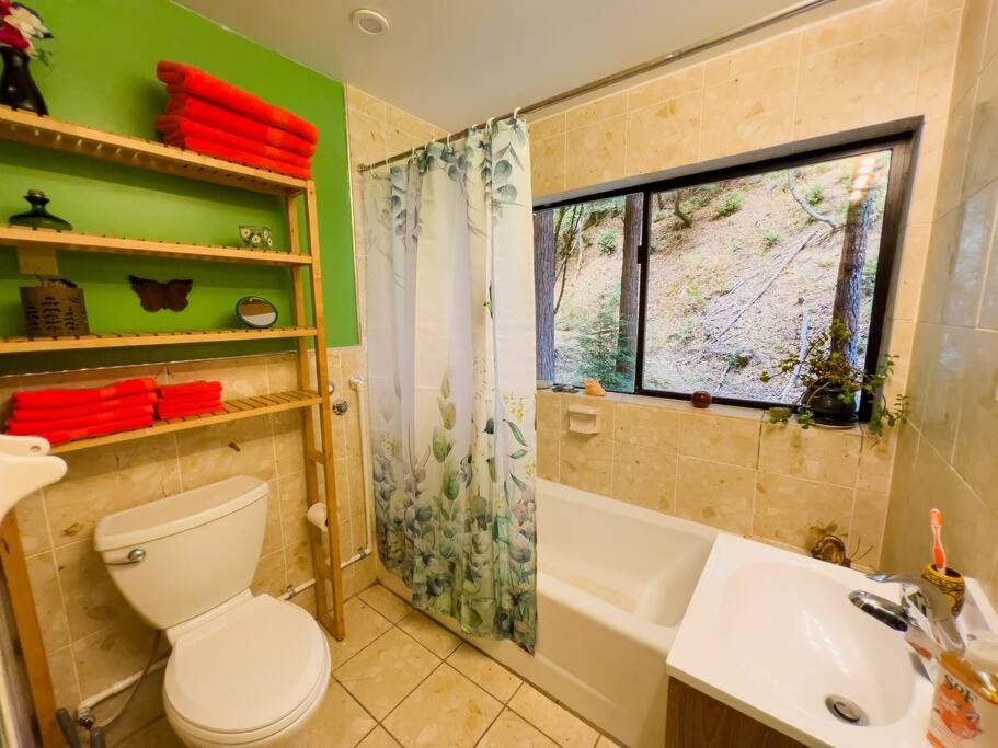 Photo of Bathroom in Garberville