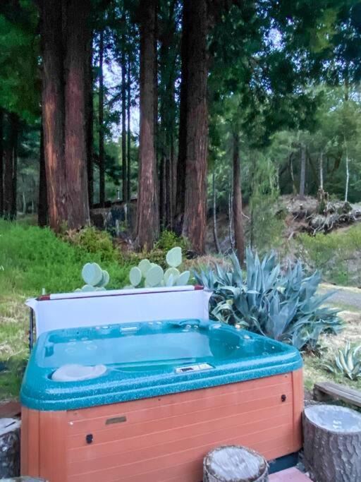 Photo of Outdoor in Garberville