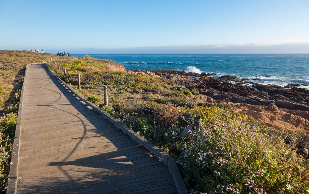 Photo of Others in San Simeon