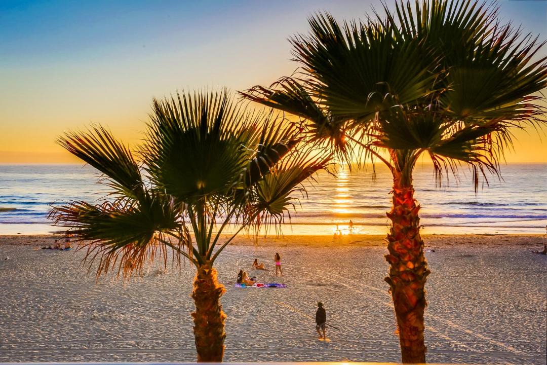 Photo of Others in South Mission Beach