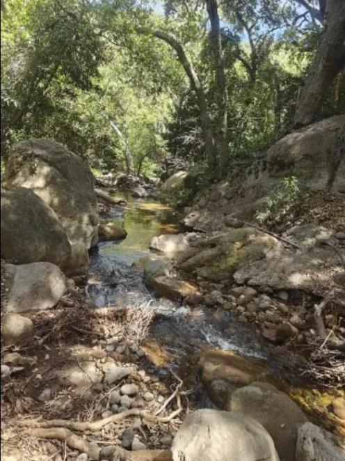 Photo of Others in Topanga