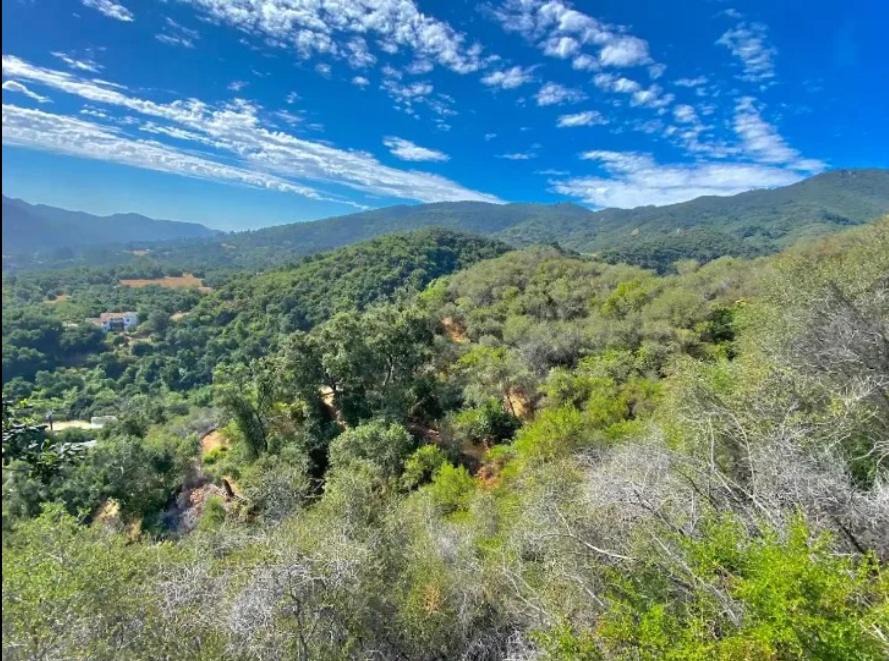 Photo of Others in Topanga