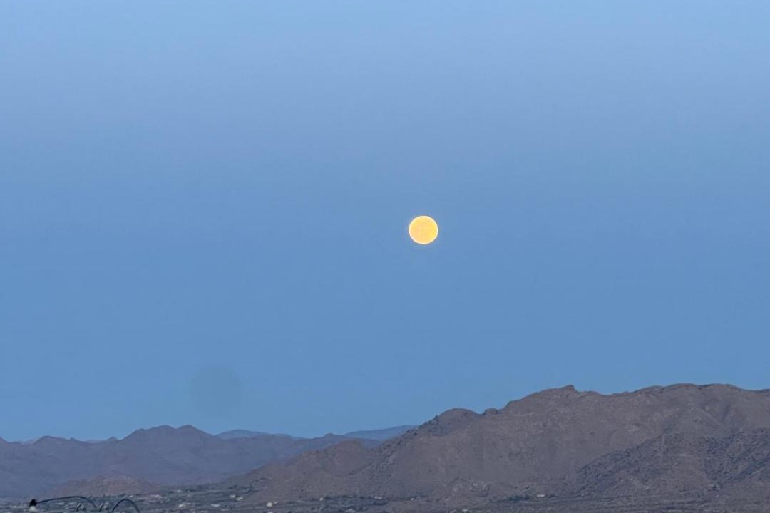 Photo of Others in Yucca Valley