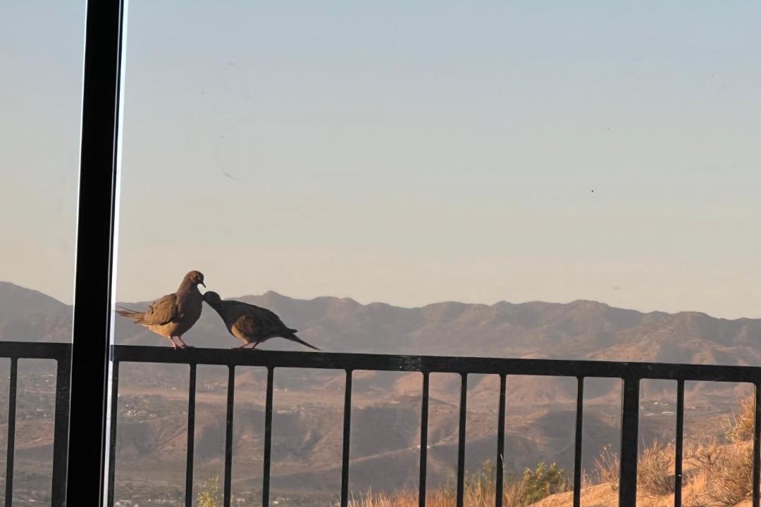 Photo of Patio Balcony in Yucca Valley