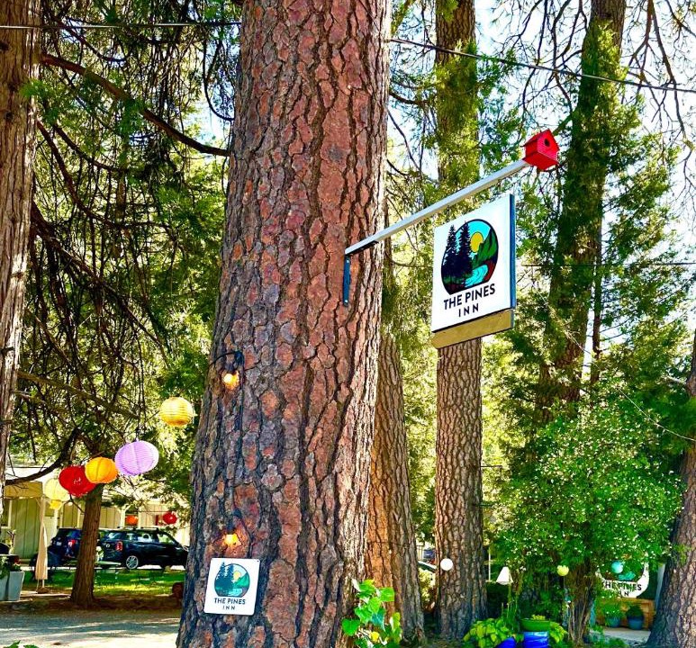 Photo of Others in Grass Valley