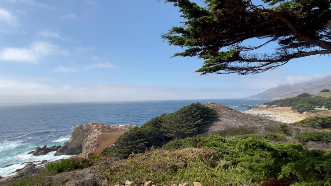 Photo of Others in Carmel