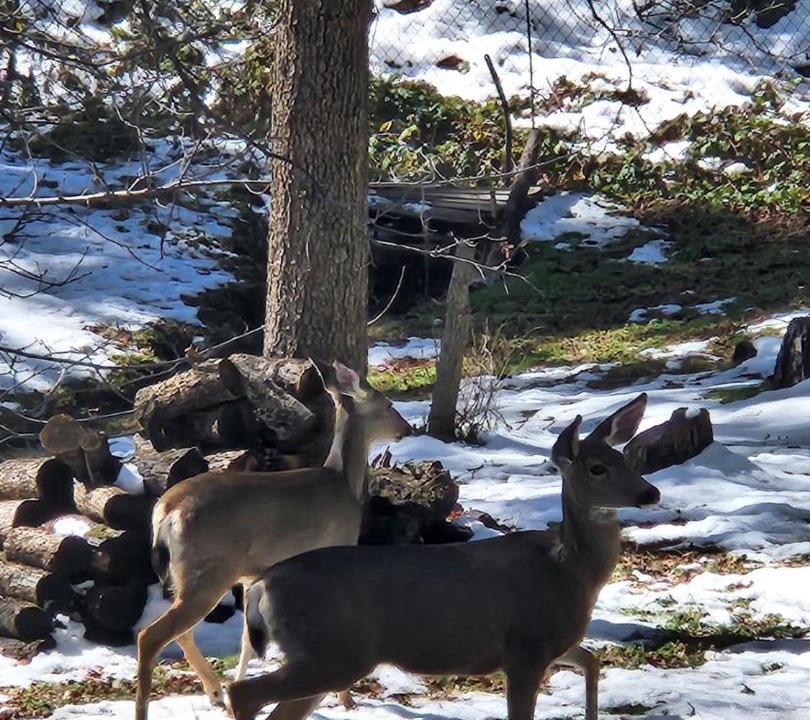 Photo of Others in Oakhurst