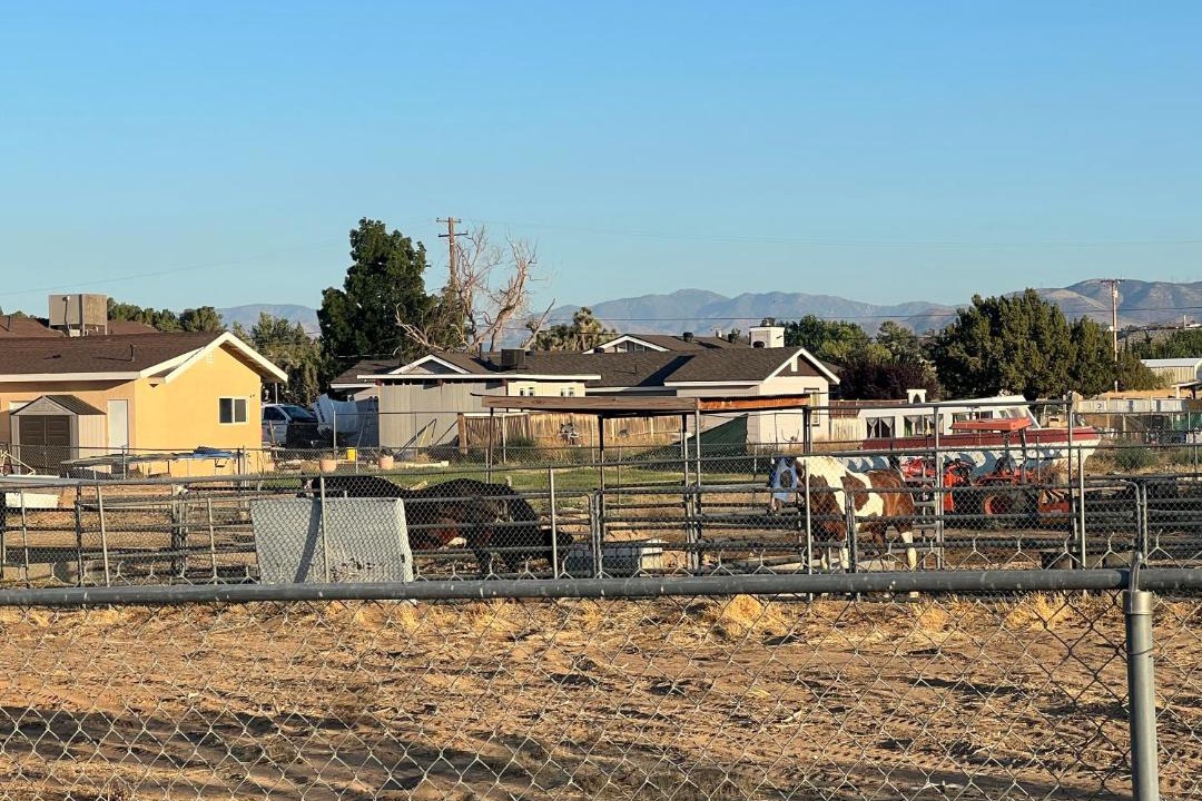 Photo of Others in Quartz Hill