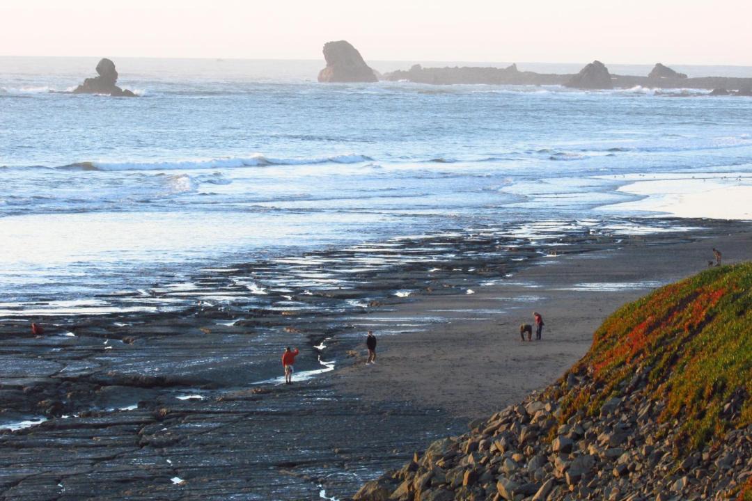 Photo of Others in Crescent City North