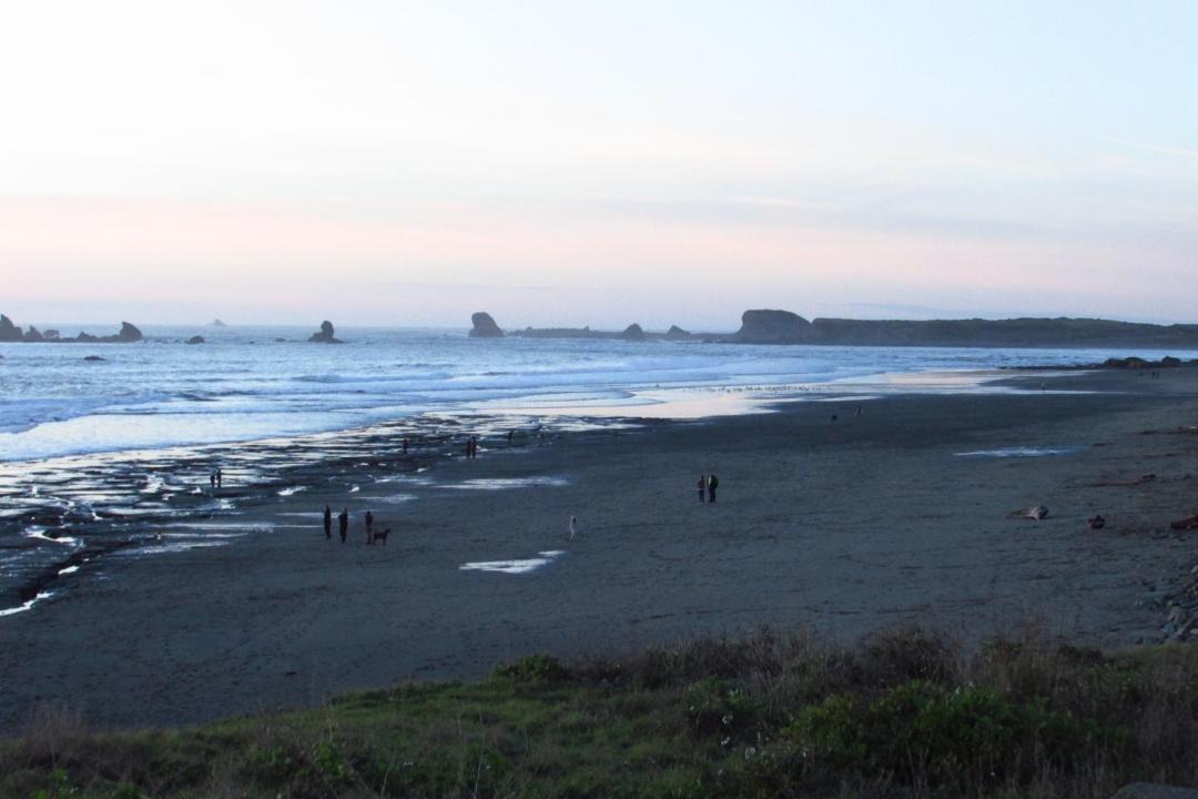 Photo of Others in Crescent City North