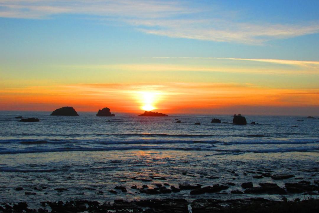 Photo of Others in Crescent City North