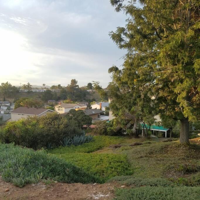 Photo of Others in Clairemont Mesa West