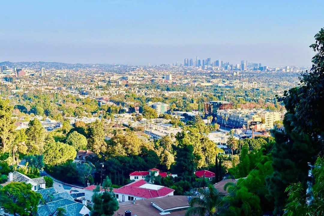 Photo of Others in Hollywood Hills West