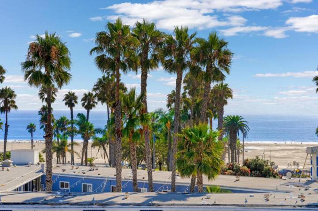 Photo of Outdoor in Ocean Park
