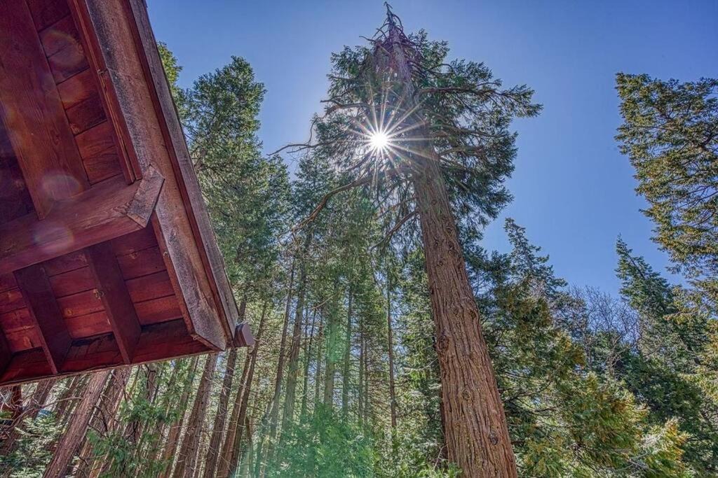 Photo of Others in Alta Sierra