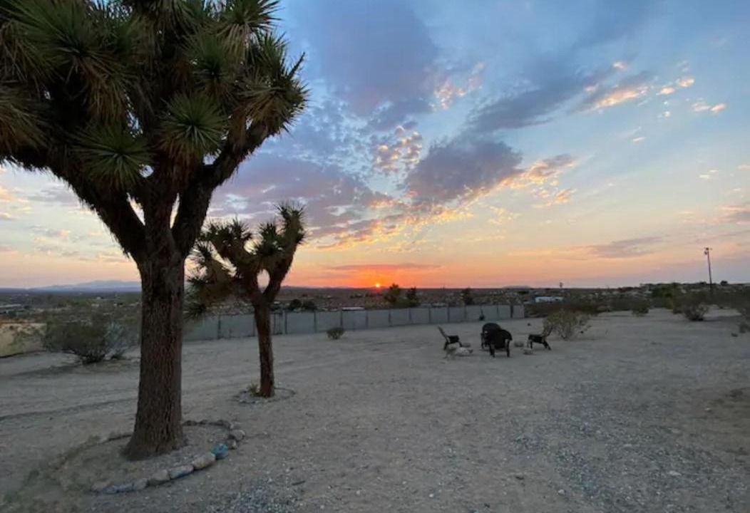 Photo of Others in Joshua Tree