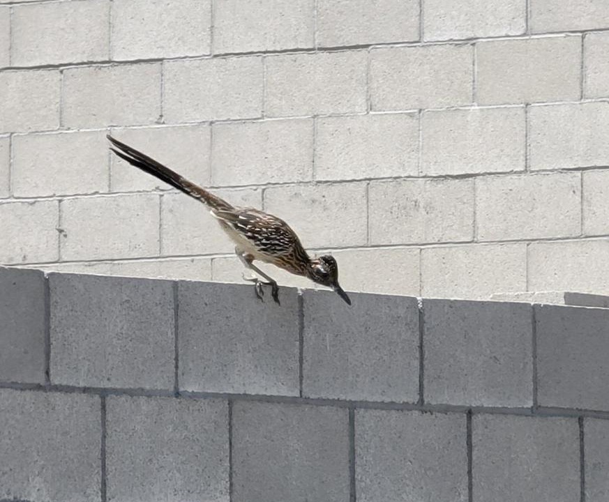 Photo of Others in San Bernardino