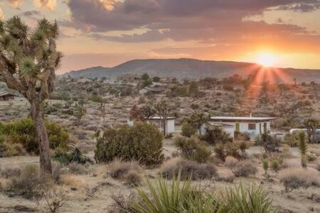 Photo of Others in Yucca Valley