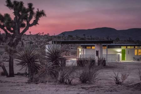 Photo of Others in Yucca Valley