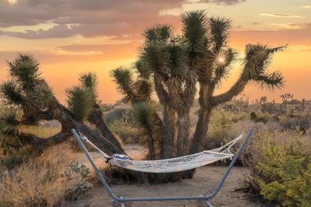 Photo of Others in Yucca Valley