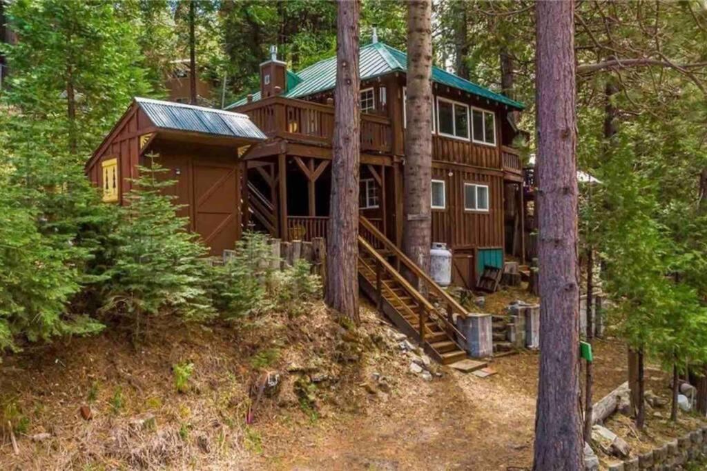 Photo of Others in Sugar Pine