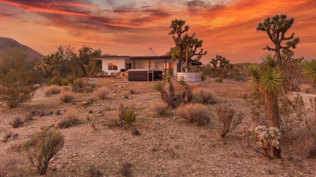 Photo of Others in Yucca Valley