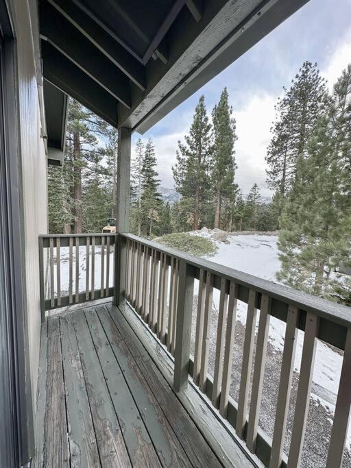 Photo of Others in Mammoth Lakes