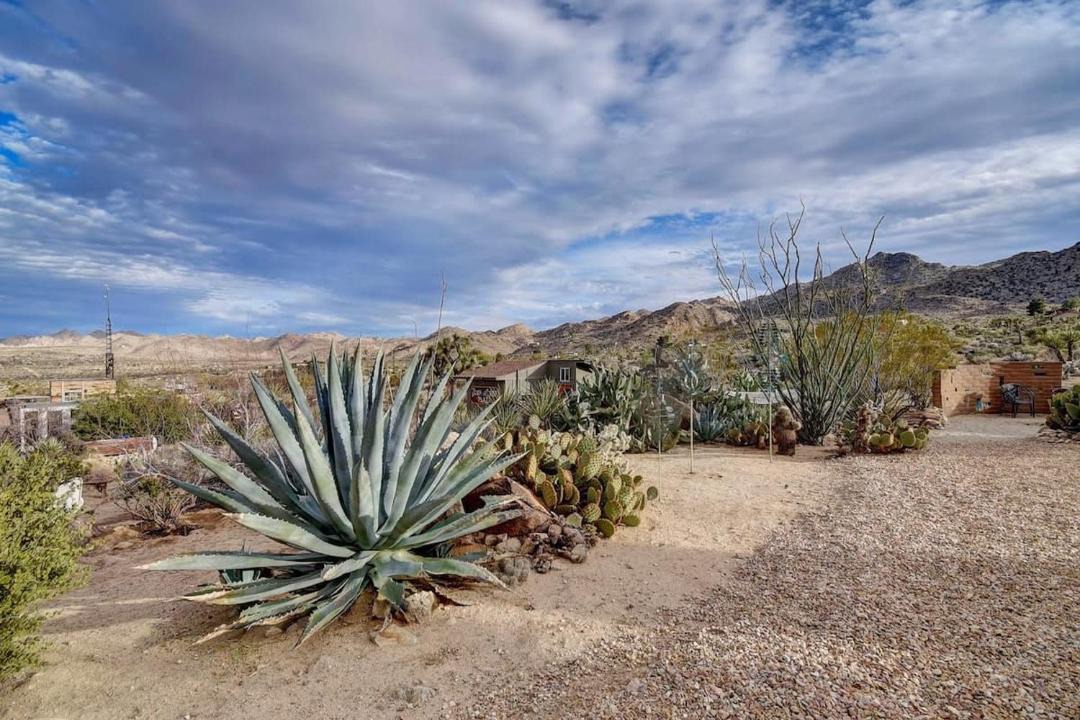 Photo of Others in Joshua Tree Highlands