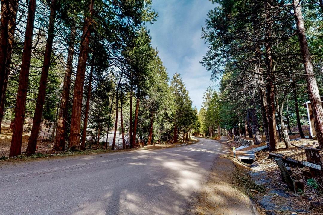Photo of Others in Twin Peaks