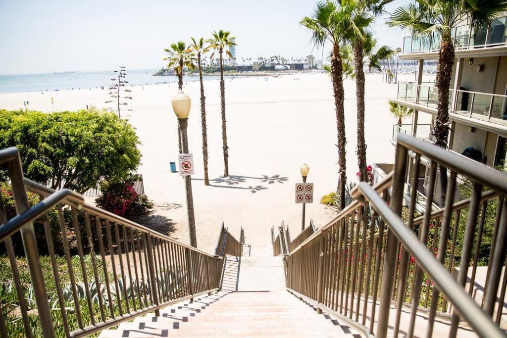 Photo of Others in Alamitos Beach