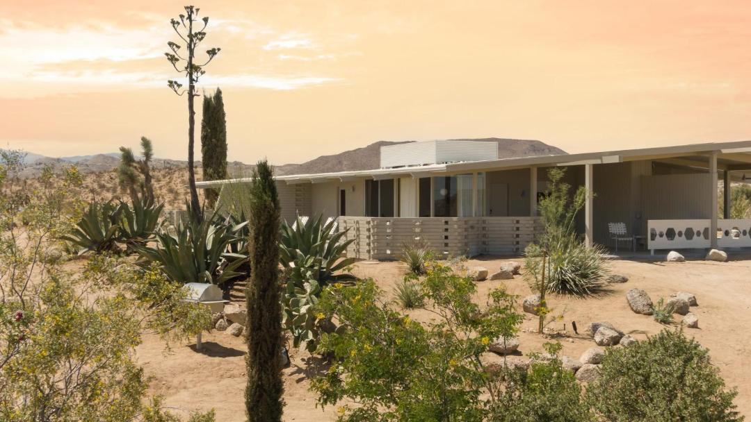 Photo of Others in Joshua Tree