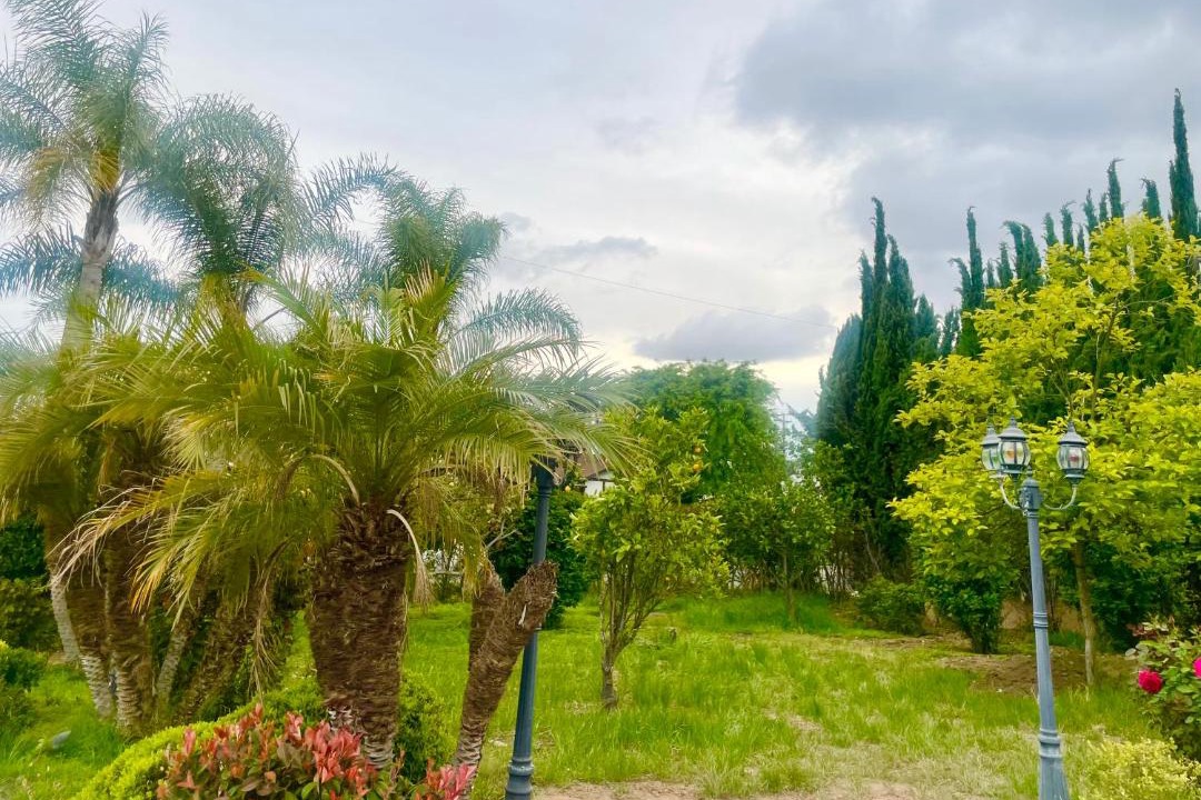 Photo of Others in East Pasadena