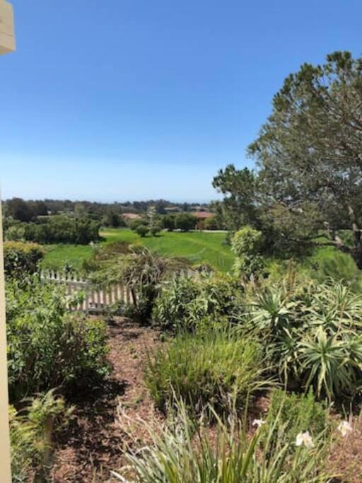 Photo of Others in Central Malibu