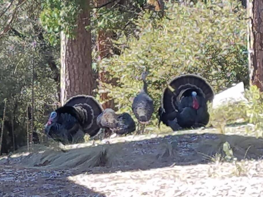 Photo of Others in Wishon
