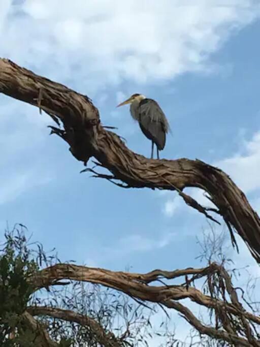 Photo of Others in Eastern Malibu