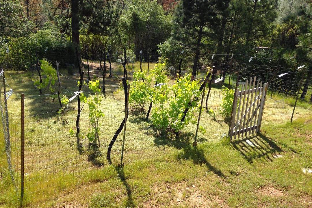 Photo of Others in Mariposa