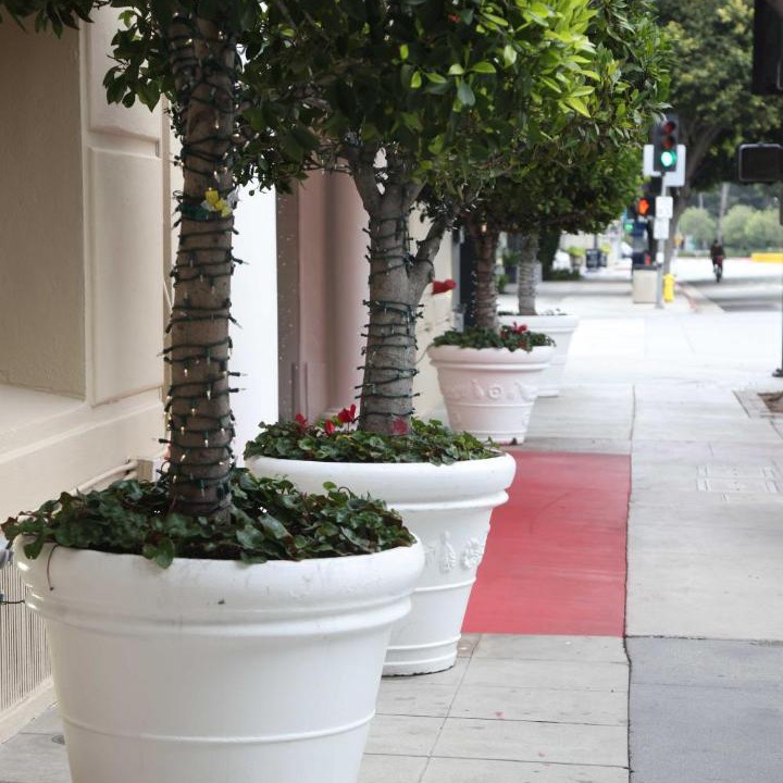 Photo of Others in Downtown