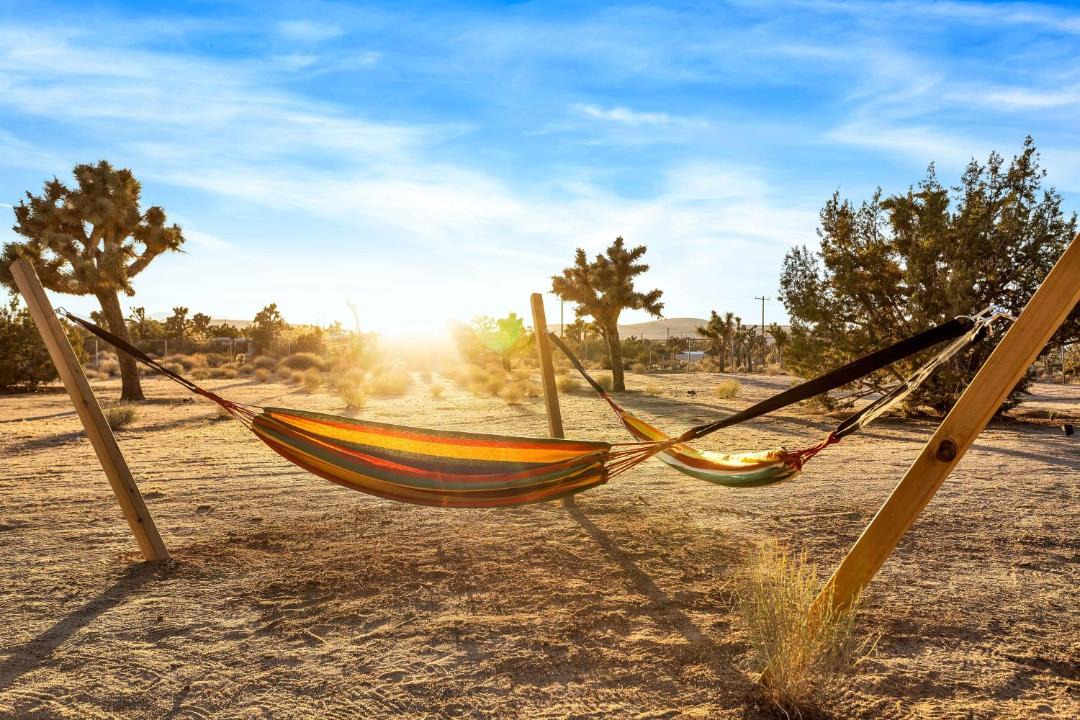 Photo of Others in Yucca Valley