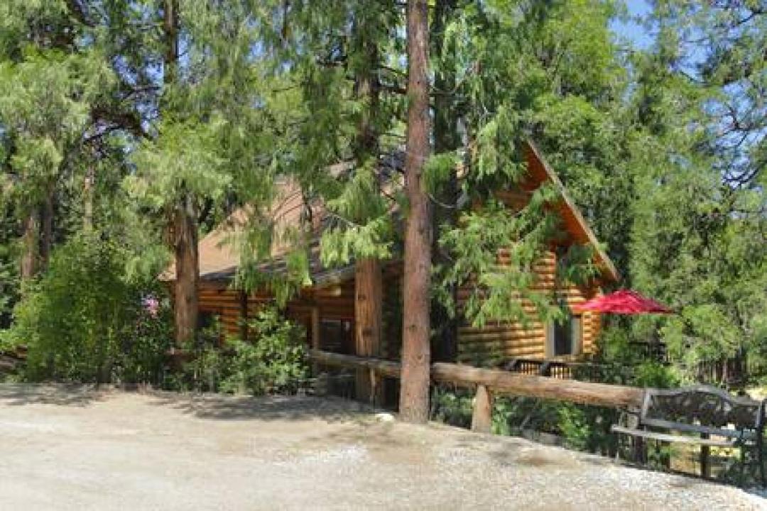 Photo of Others in Idyllwild