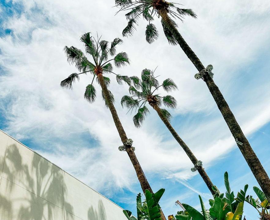 Photo of Others in Beverly Hills
