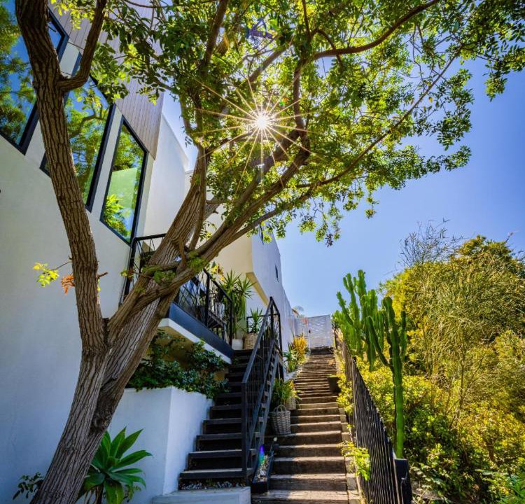 Photo of Others in Hollywood Hills