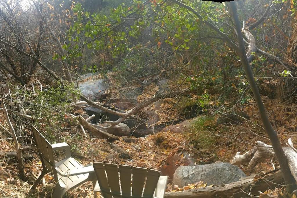 Photo of Patio Balcony in Wofford Heights