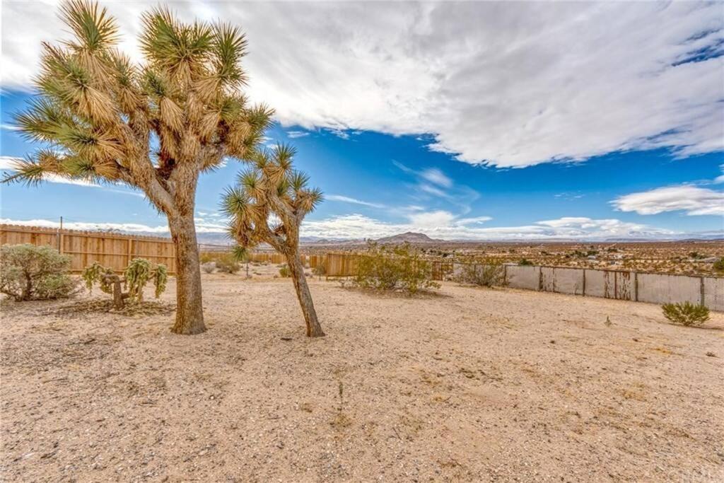 Photo of Others in Joshua Tree