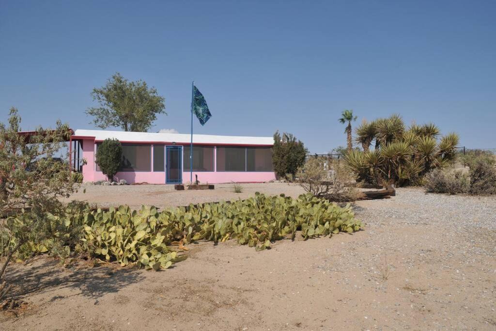 Photo of Others in Joshua Tree