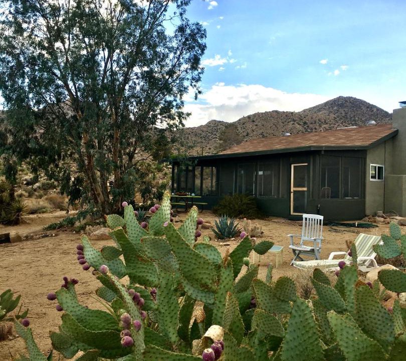 Photo of Buildings in Joshua Tree Highlands