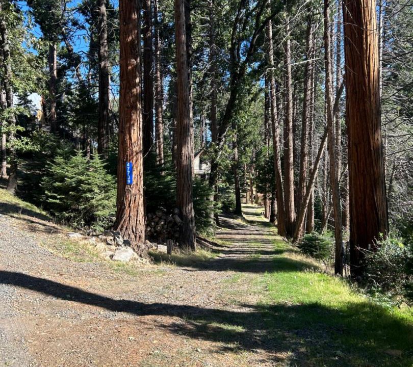Photo of Outdoor in Posey