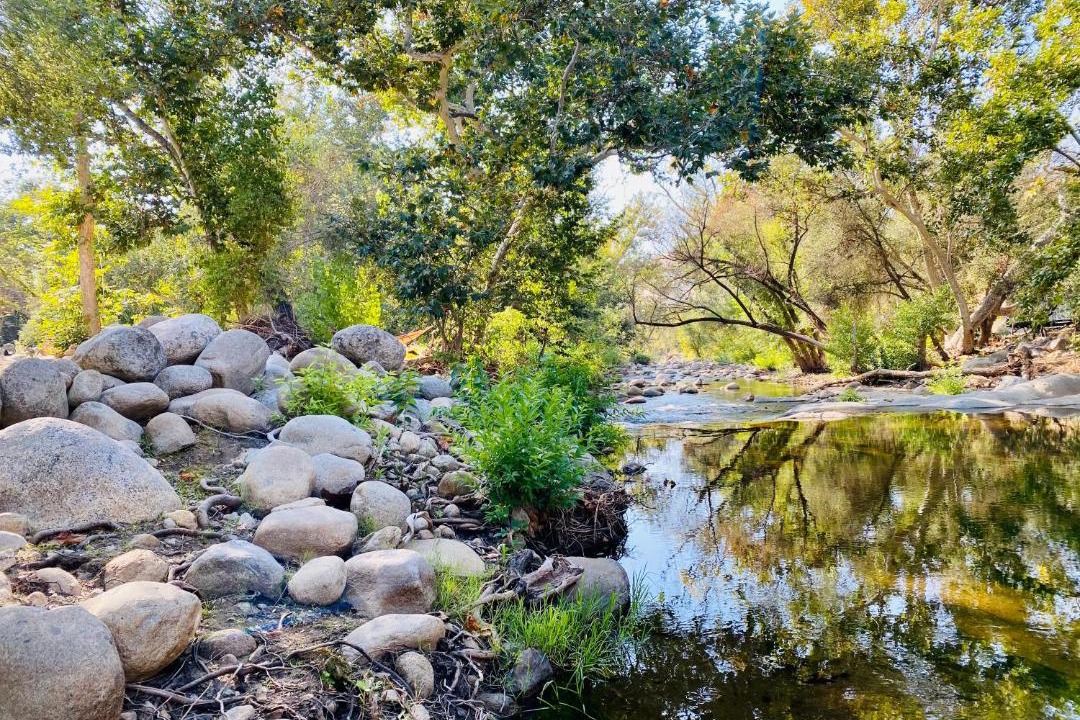 Photo of Others in Three Rivers