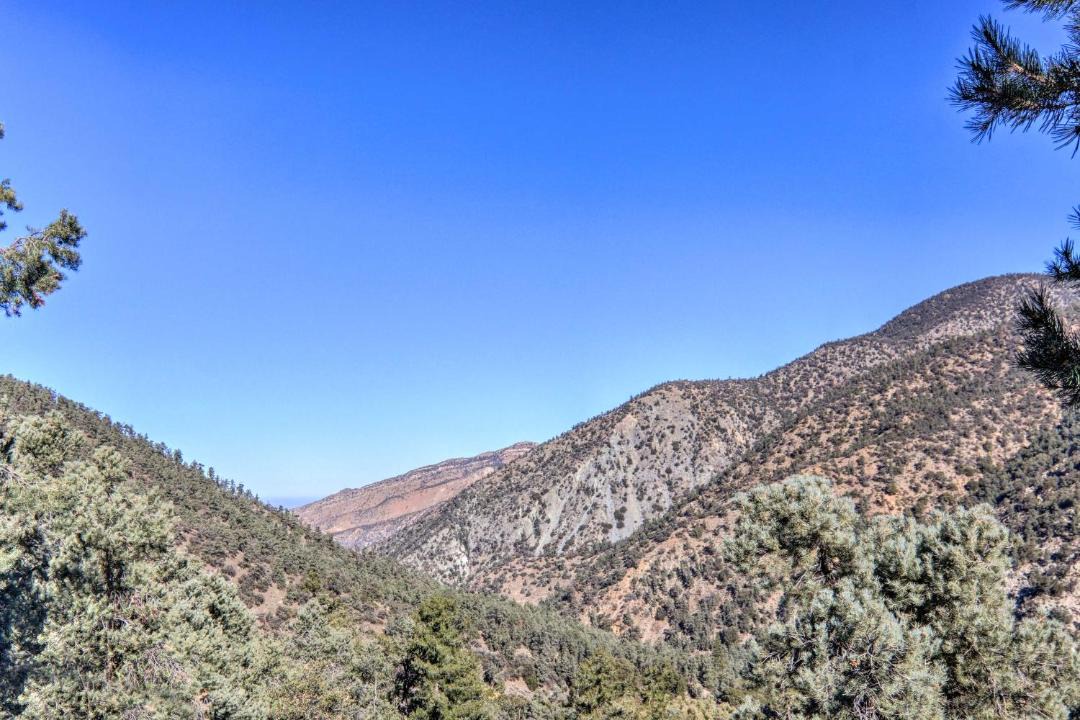 Photo of Others in Pine Mountain Club
